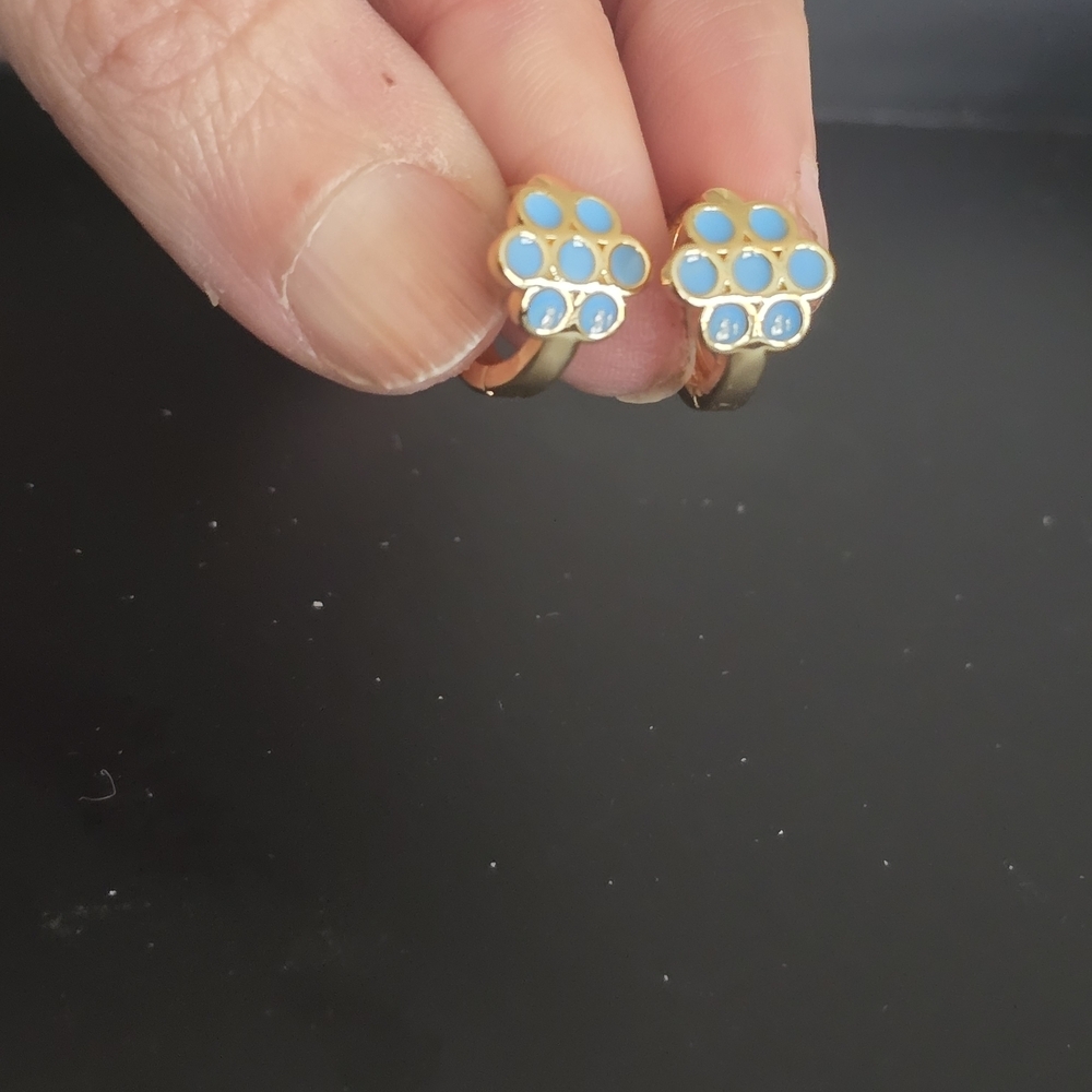 22kgp Dubai Jewelry Gold And Blue Enamel Earrings